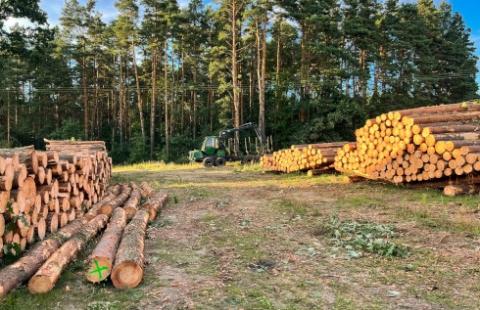 Można usunąć drzewa i krzewy, aby przywrócić użytkowanie rolnicze gruntu