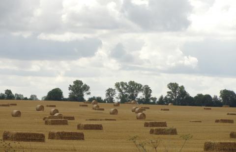 Będą nowe zasady opodatkowania gruntów