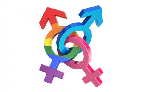 NSA podtrzymał unieważnienie uchwał "anty-LGBT" zaskarżonych przez RPO