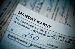 Rzecznik MŚP jeszcze walczy z podwyżką mandatów skarbowych