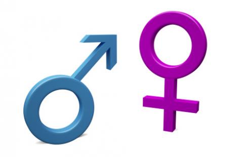 Płeć i stan cywilny w formularzu spisu – problem z danymi osób LGBT