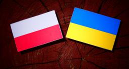 Spór o ukraińskie flagi na budynkach szkół i urzędów - nie powinny powiewać samotnie, ale to kwestia zwyczaju