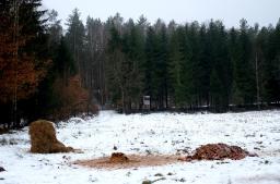 Nęcenie zwierząt jest dozwolone w określonych granicach