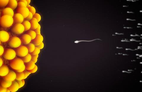 Za młoda na in vitro? Refundowana procedura nie dla każdego